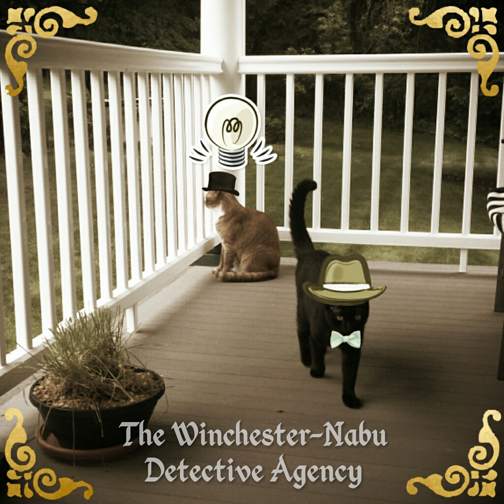 2017-07-14 Winchester-Nabu Detective Agency Ollie and Gus