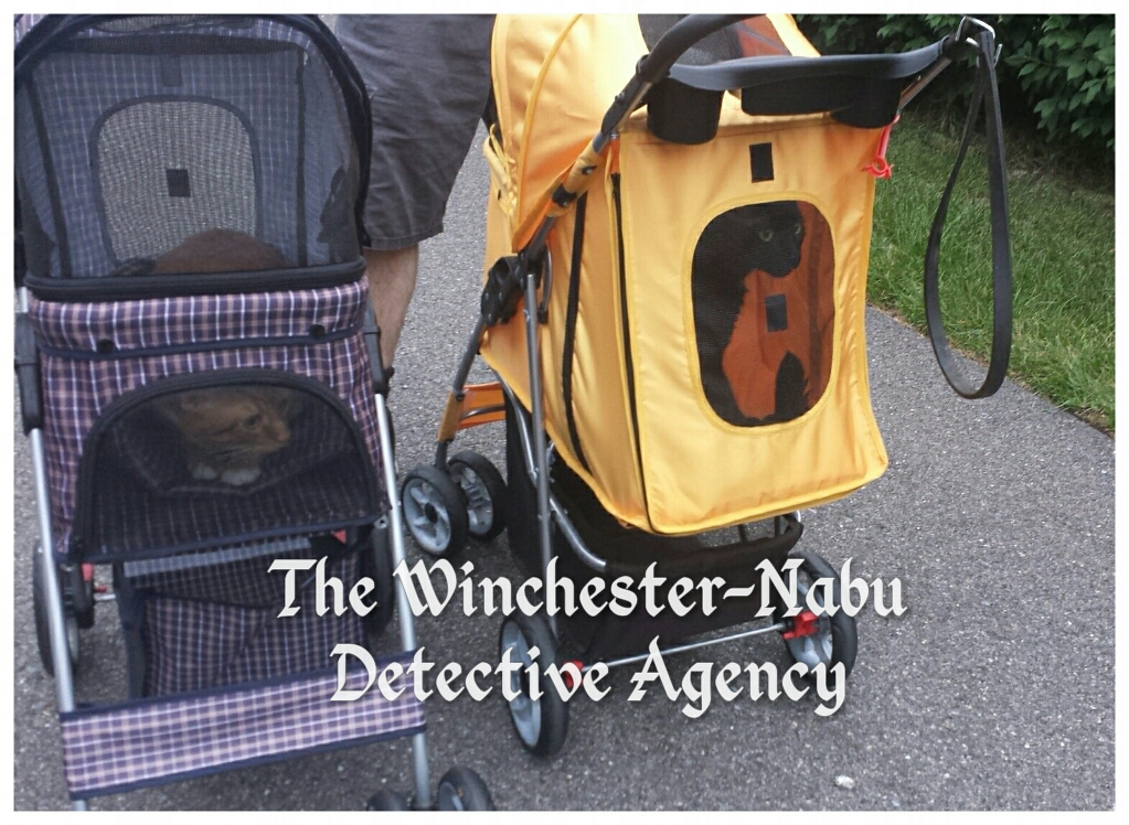 Winchester-Nabu Detective Agency 2017-07-23_20.10.13_wm