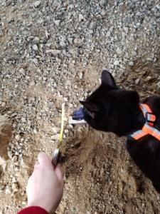 Gus examining ceramic