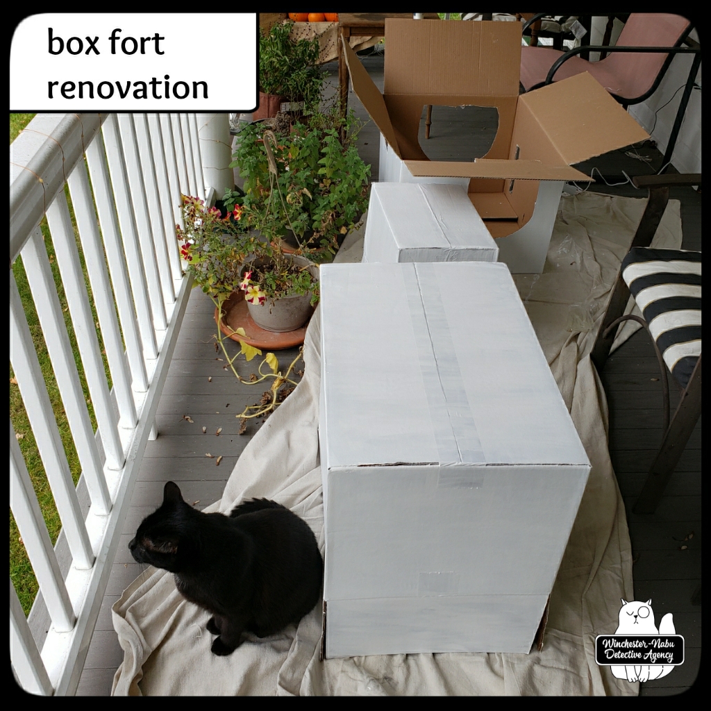 202110288_catboxfort (5)