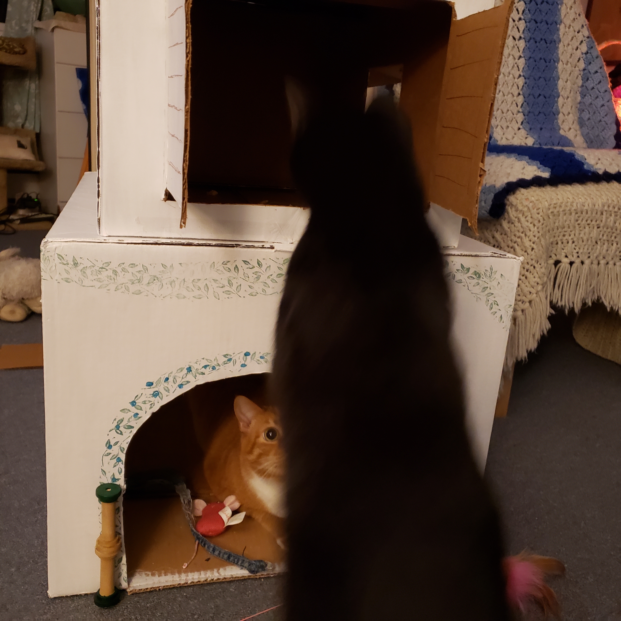 20211029_catboxfort (1)