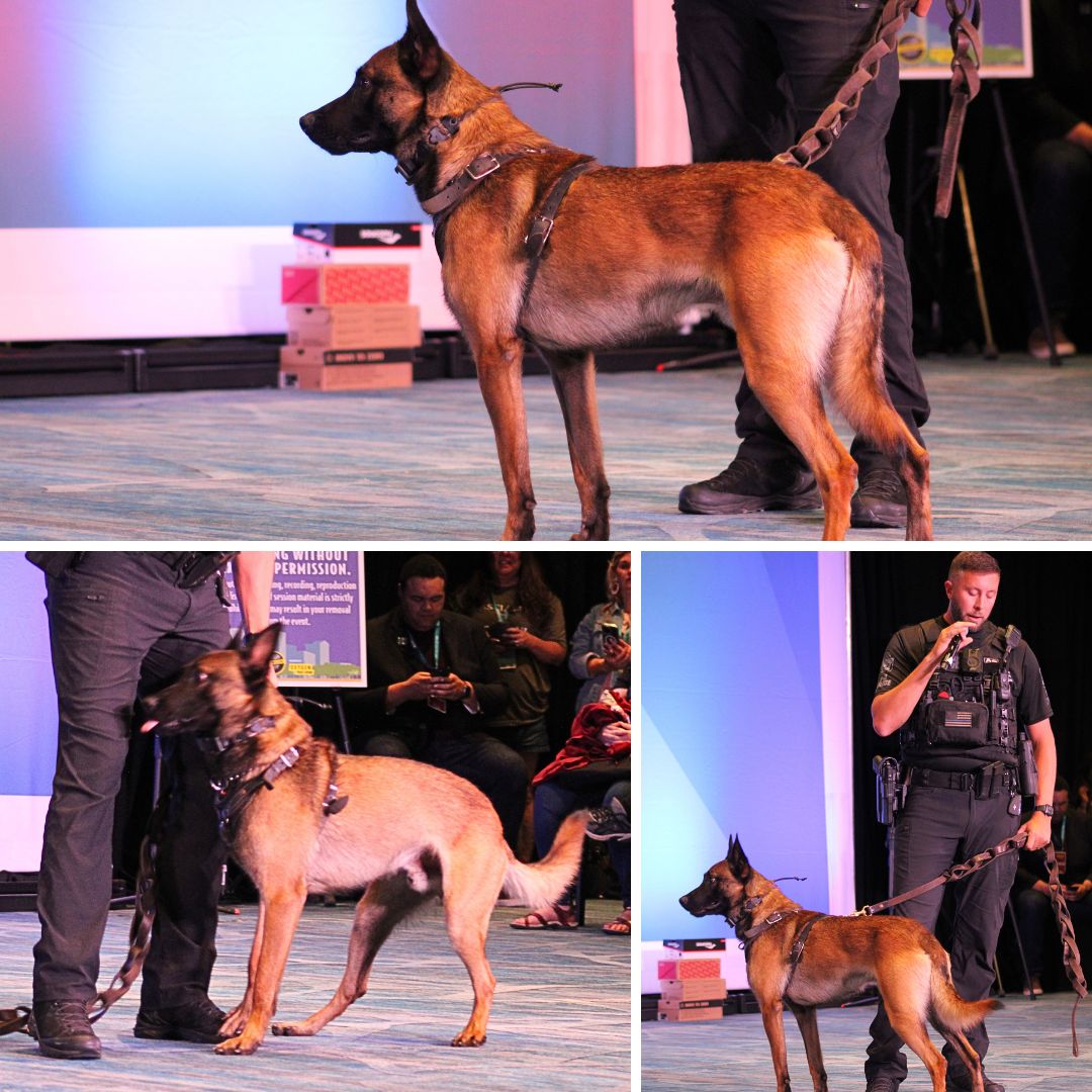 crimecon Orlando K9 Jackson (1)