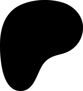 2024 new patreon logo; a blob that's supposed to be a "P"