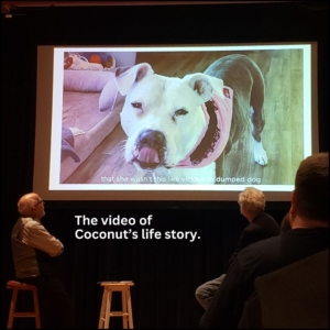 Curator Charles Viera on the left stool next to Patrick McDonnell on the right stool. They're turned around and looking up to watch the video about a dog named Coconut.