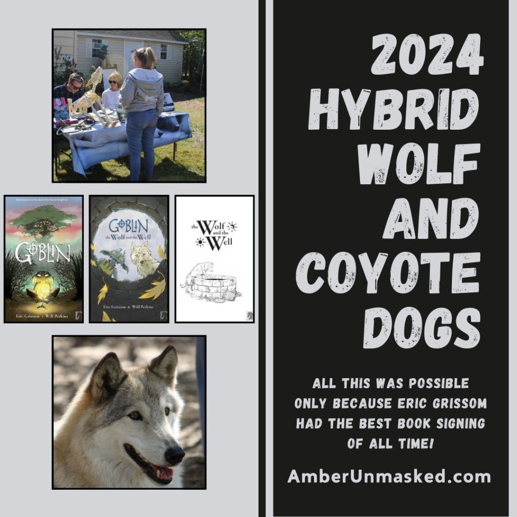 Eric Grissom Goblin book signing at Howling Woods Farm 2024 hybrid wolf and coyote dogs; all this was possible because Eric had the best book signing of all time! AmberUnmasked.com collage of Eric signing books for a customer; covers to the Goblin comic books; a close up of one of the wolf dogs.